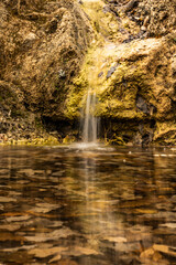 Fototapeta na wymiar Tiny Waterfall Pours Into Pool at Smith Spring
