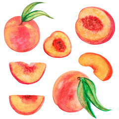 Illustration of watercolor peaches, fruit illustration