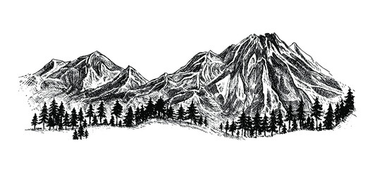 Mountain with pine trees and landscape black on white background. Hand-drawn rocky peaks in sketch style. Handcrafted illustration. Backpacking tourism, adventure and summer vacation concept.