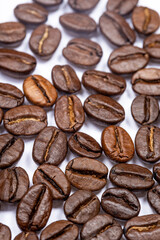 Coffee beans with a uniform color