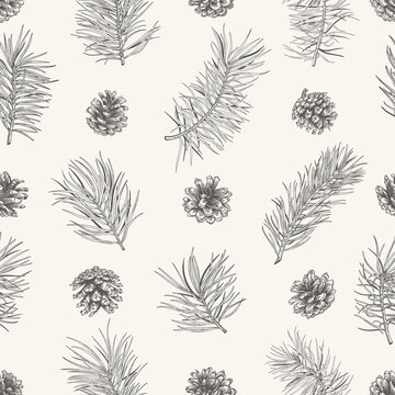 Christmas background with pine branches, cones. Vintage botanical seamless pattern with conifers. Black and White.