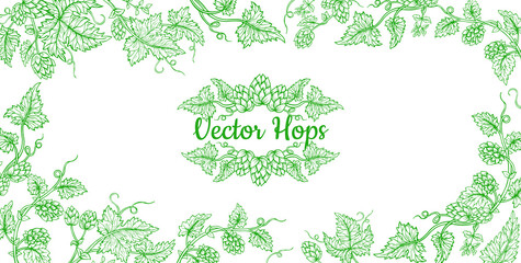 Hop plant branch sketch frame. Sketches for beer packing design, label. Exotic botanical decoration hand drawn. Hops with leaves and cones angular herb event invitation card template, editable vector