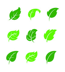 Green leaf icons, symbols, logo and graphic elements set isolated on white background. Vector template for natural, organic, bio, eco label and shape.