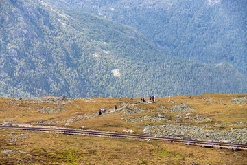 people hiking in the moutains