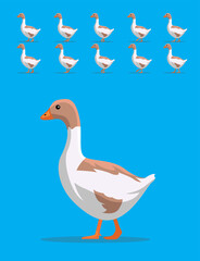 Animal Animation Sequence Buff Goose Cartoon Vector