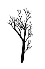 Hand Drawn Collection of Tree Silhouettes. Hand Drawn Isolated on White Background. Seasonal concept. Autumn and winter garden. Vector Illustrations.