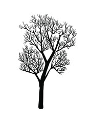 Naked tree silhouette. Hand drawn vector illustrations. Hand drawn sketch of tree without leaves. Autumn concept. 