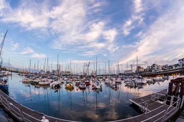 夏空の横浜市新磯子ヨットハーバー