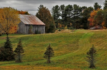 autumn landscape with a house