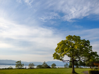 Fototapeta na wymiar 5月の琵琶湖岸の公園で