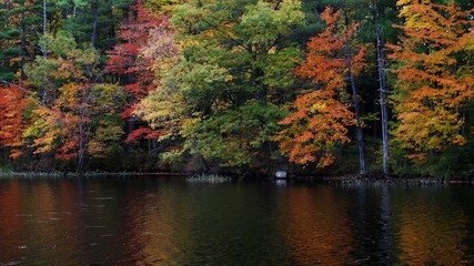 fall colors in the park