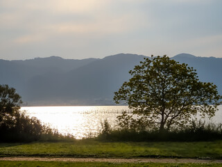 5月の琵琶湖岸の公園で