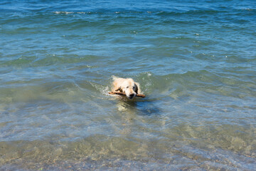 Patagonian lakes, rivers and mounts
