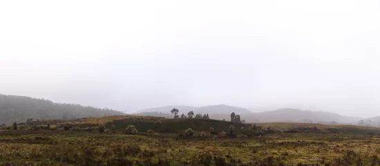 Crédence de cuisine en verre imprimé Mont Cradle panoramic view of park land around Cradle mountain during a cold foggy season, central Tasmania, Australia.