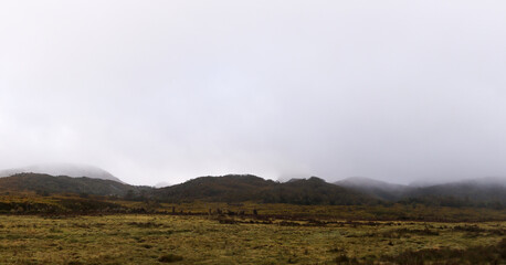 panoramic view of park land around Cradle mountain during a cold foggy season, central Tasmania, Australia.