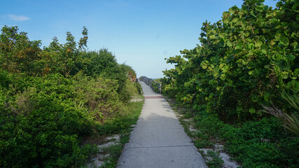 Fototapeta na wymiar path to the beach in Bill Baggs Cape Florida State Park.