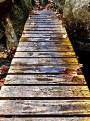 wooden bridge in autumn