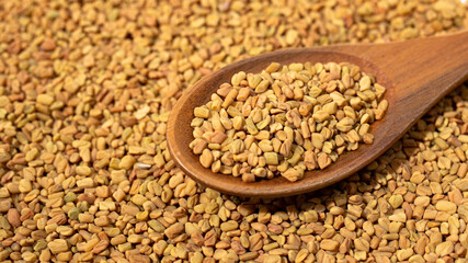 フェネグリークシードまたはフェヌグリークシード（Fenugreek）別名：胡盧巴（ころは）、メッチ、メティ