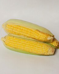 Sweet corn isolated on bright background. This corn can be served in various processed forms. Whether it's boiled, baked, or mixed with other foods to serve as a side dish or snack. Corn mockup.