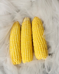Sweet corn isolated on bright background. This corn can be served in various processed forms. Whether it's boiled, baked, or mixed with other foods to serve as a side dish or snack. Corn mockup.