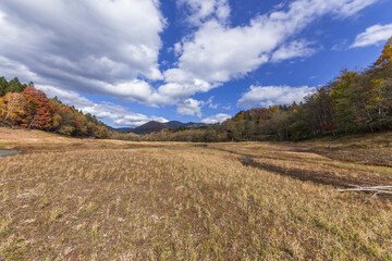 晩秋のタウシュベツ川橋梁