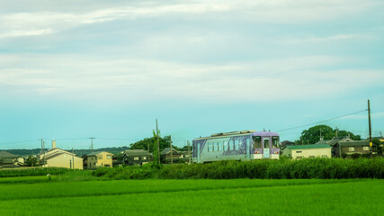 Fototapeta na wymiar 兵庫県・小野、加西市北条線風景 