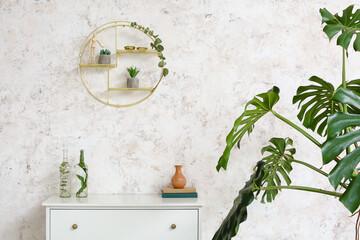 Modern chest of drawers with decor and houseplant near light wall