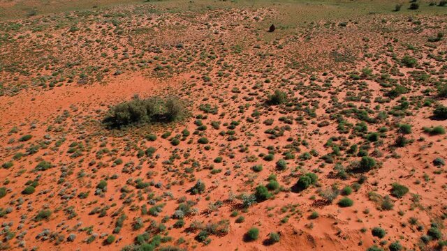 Aerial of rugged scenic outback Australia red sand desert after rain green plant
