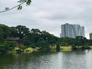 river in the park