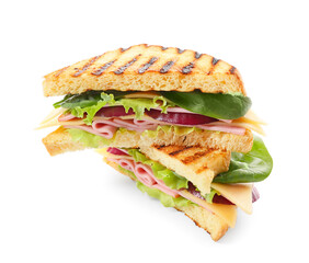 Tasty sandwiches on white background