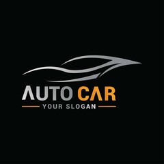 Obraz na płótnie Canvas Car Care Logo vector Template