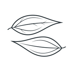 Obraz premium illustration of cinnamon leaf