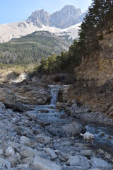 Fototapeta na wymiar Chute d'eau, nature, montagne