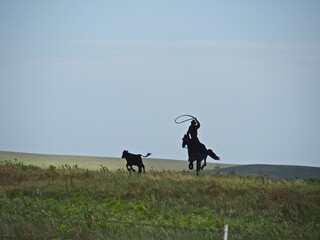 Fototapeta na wymiar Metal sculpture of cowboy lassoing a cow in the Flint Hills of Kansas. 
