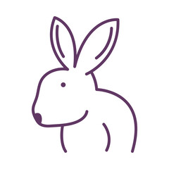 rabbit pet line style