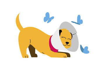 Playful dog playing with butterfly