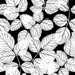 Leaves and foliage on branches, twigs and flora