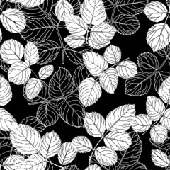 Botany leaves and foliage seamless pattern vector