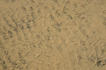 Sand texture., marks in the sand on the beach when the tide goes out