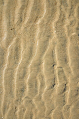 Sand texture., marks in the sand on the beach when the tide goes out