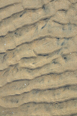 Sand texture., marks in the sand on the beach when the tide goes out