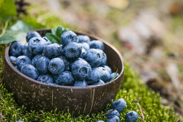 Freshly picked blueberries in bowl on forest moss background. Concept of healthy eating. Bilberries.  Dieting. Vitamins