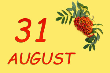 Rowan branch with red and orange berries and green leaves and date of 31 august on a yellow background.