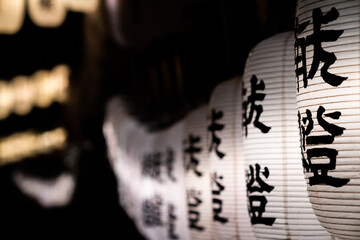 献燈