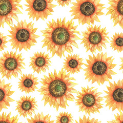 Obraz premium Sunflowers pattern
