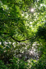 Seiglats Regional Nature Reserve in Île de France country