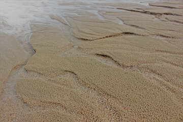 Low angle view of channels of water in beach sand heading to the ocean