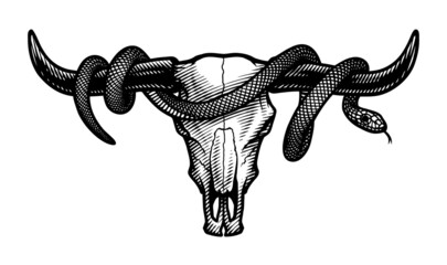 Bull skull and snake. T-shirt print design. Vector illustration. - obrazy, fototapety, plakaty
