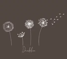 Fotobehang Hand drawn set of white dandelion, dandelion with flying seeds in cute doodle style. Vector illustration for fabric, card design or baby clothings. © Sabina