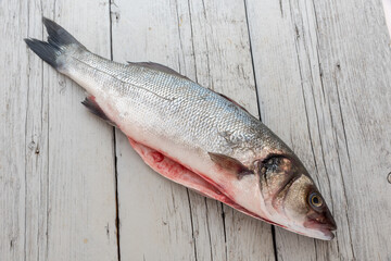 Sea bass with white background